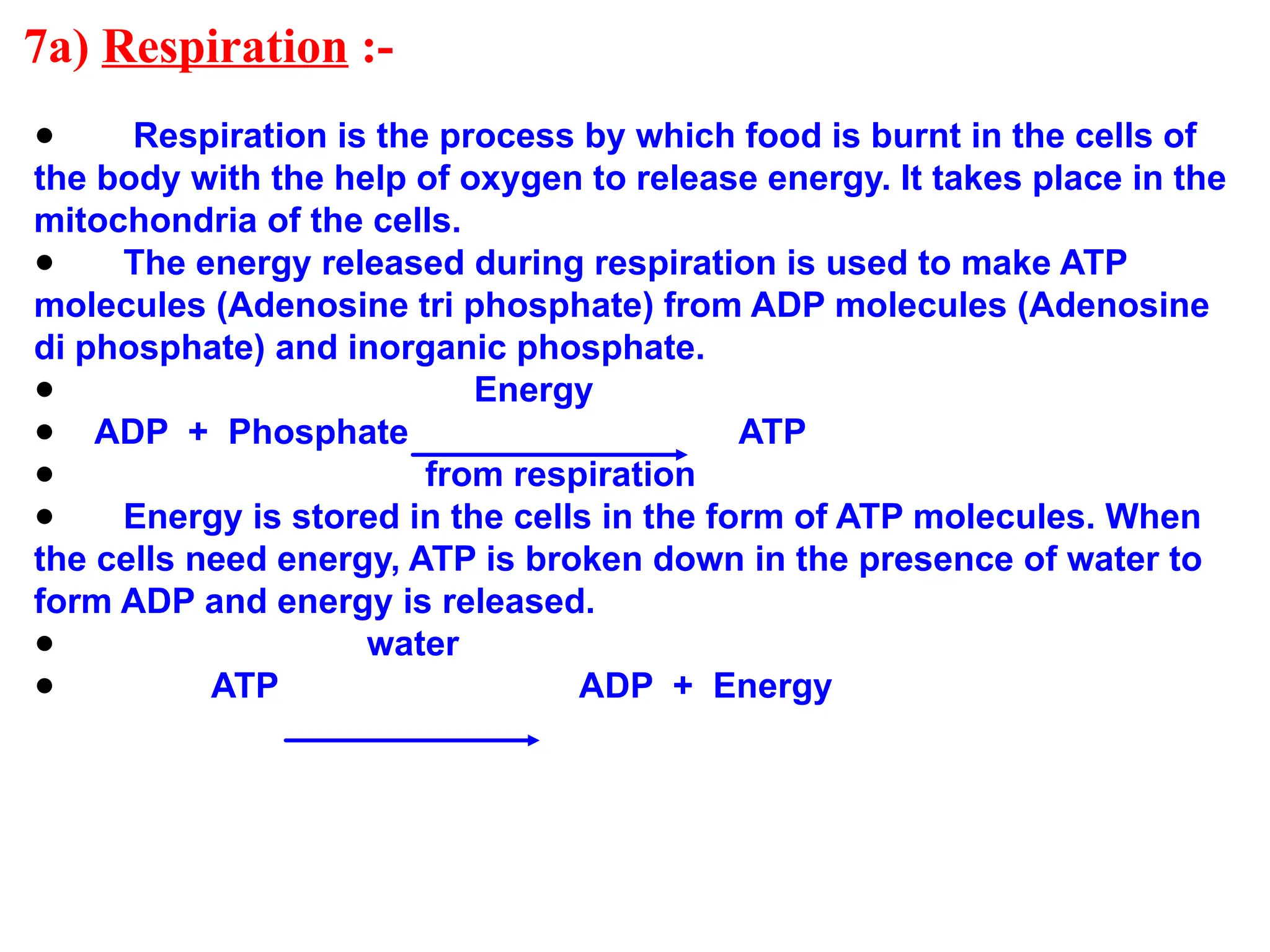 7a) Respiration :-
● Respiration is the process by which food is burnt in the cells of
the body with the help of oxygen to release energy. It takes place in the
mitochondria of the cells.
● The energy released during respiration is used to make ATP
molecules (Adenosine tri phosphate) from ADP molecules (Adenosine
di phosphate) and inorganic phosphate.
● Energy
● ADP + Phosphate ATP
● from respiration
● Energy is stored in the cells in the form of ATP molecules. When
the cells need energy, ATP is broken down in the presence of water to
form ADP and energy is released.
● water
● ATP ADP + Energy
 