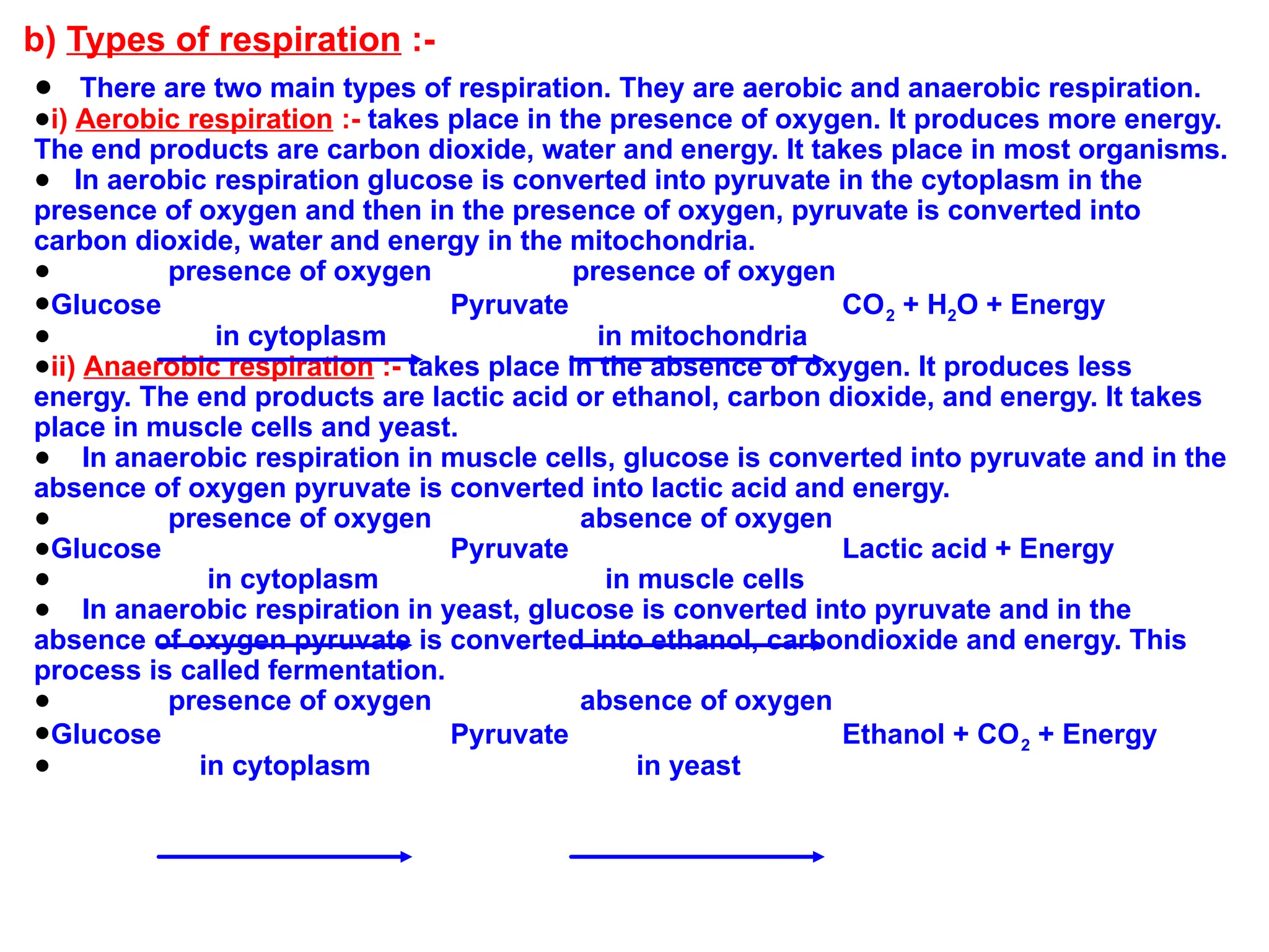 b) Types of respiration :-
● There are two main types of respiration. They are aerobic and anaerobic respiration.
●i) Aerobic respiration :- takes place in the presence of oxygen. It produces more energy.
The end products are carbon dioxide, water and energy. It takes place in most organisms.
● In aerobic respiration glucose is converted into pyruvate in the cytoplasm in the
presence of oxygen and then in the presence of oxygen, pyruvate is converted into
carbon dioxide, water and energy in the mitochondria.
● presence of oxygen presence of oxygen
●Glucose Pyruvate CO2 + H2O + Energy
● in cytoplasm in mitochondria
●ii) Anaerobic respiration :- takes place in the absence of oxygen. It produces less
energy. The end products are lactic acid or ethanol, carbon dioxide, and energy. It takes
place in muscle cells and yeast.
● In anaerobic respiration in muscle cells, glucose is converted into pyruvate and in the
absence of oxygen pyruvate is converted into lactic acid and energy.
● presence of oxygen absence of oxygen
●Glucose Pyruvate Lactic acid + Energy
● in cytoplasm in muscle cells
● In anaerobic respiration in yeast, glucose is converted into pyruvate and in the
absence of oxygen pyruvate is converted into ethanol, carbondioxide and energy. This
process is called fermentation.
● presence of oxygen absence of oxygen
●Glucose Pyruvate Ethanol + CO2 + Energy
● in cytoplasm in yeast
 