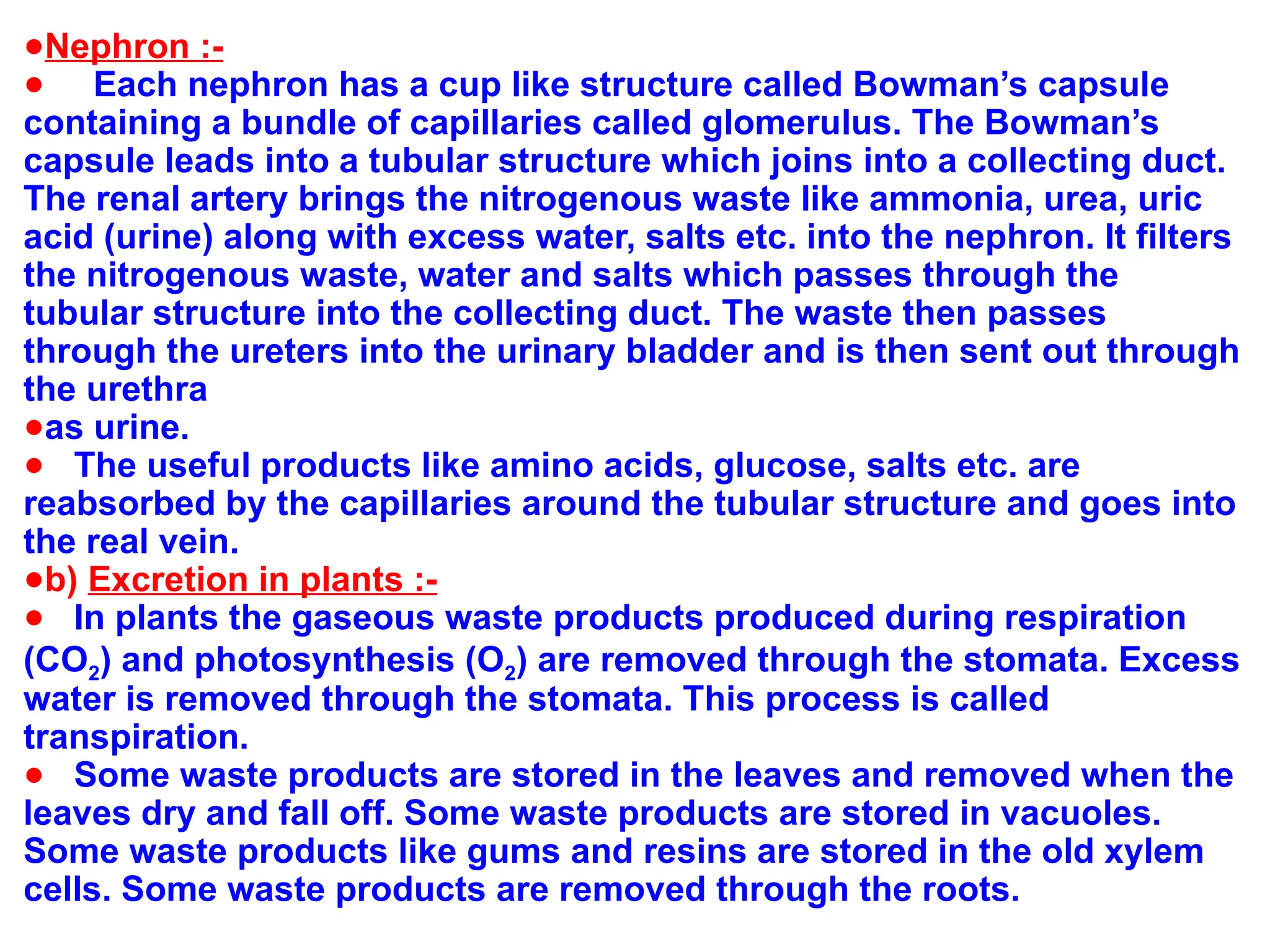 ●Nephron :-
● Each nephron has a cup like structure called Bowman’s capsule
containing a bundle of capillaries called glomerulus. The Bowman’s
capsule leads into a tubular structure which joins into a collecting duct.
The renal artery brings the nitrogenous waste like ammonia, urea, uric
acid (urine) along with excess water, salts etc. into the nephron. It filters
the nitrogenous waste, water and salts which passes through the
tubular structure into the collecting duct. The waste then passes
through the ureters into the urinary bladder and is then sent out through
the urethra
●as urine.
● The useful products like amino acids, glucose, salts etc. are
reabsorbed by the capillaries around the tubular structure and goes into
the real vein.
●b) Excretion in plants :-
● In plants the gaseous waste products produced during respiration
(CO2) and photosynthesis (O2) are removed through the stomata. Excess
water is removed through the stomata. This process is called
transpiration.
● Some waste products are stored in the leaves and removed when the
leaves dry and fall off. Some waste products are stored in vacuoles.
Some waste products like gums and resins are stored in the old xylem
cells. Some waste products are removed through the roots.
 