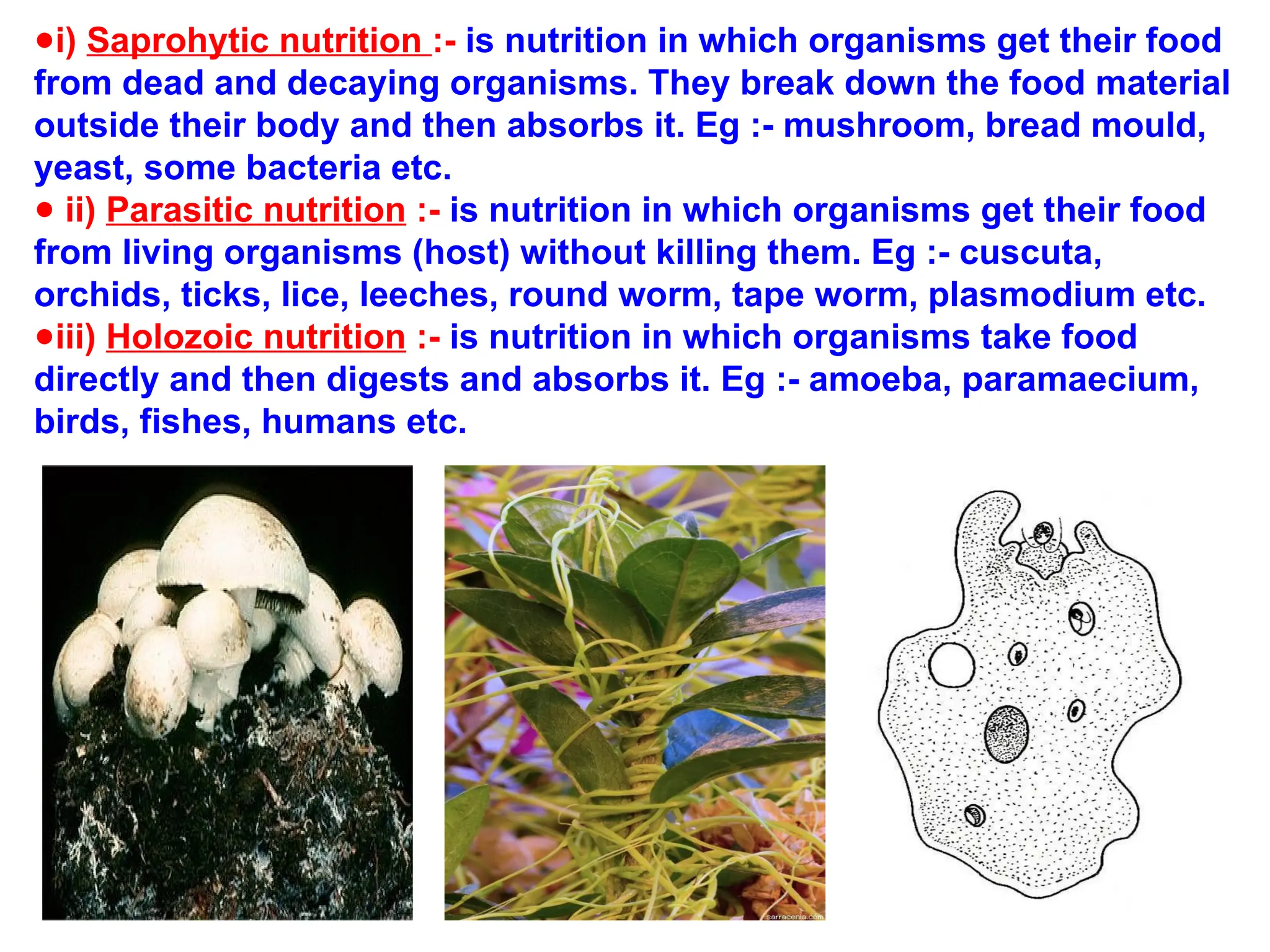 ●i) Saprohytic nutrition :- is nutrition in which organisms get their food
from dead and decaying organisms. They break down the food material
outside their body and then absorbs it. Eg :- mushroom, bread mould,
yeast, some bacteria etc.
● ii) Parasitic nutrition :- is nutrition in which organisms get their food
from living organisms (host) without killing them. Eg :- cuscuta,
orchids, ticks, lice, leeches, round worm, tape worm, plasmodium etc.
●iii) Holozoic nutrition :- is nutrition in which organisms take food
directly and then digests and absorbs it. Eg :- amoeba, paramaecium,
birds, fishes, humans etc.
 