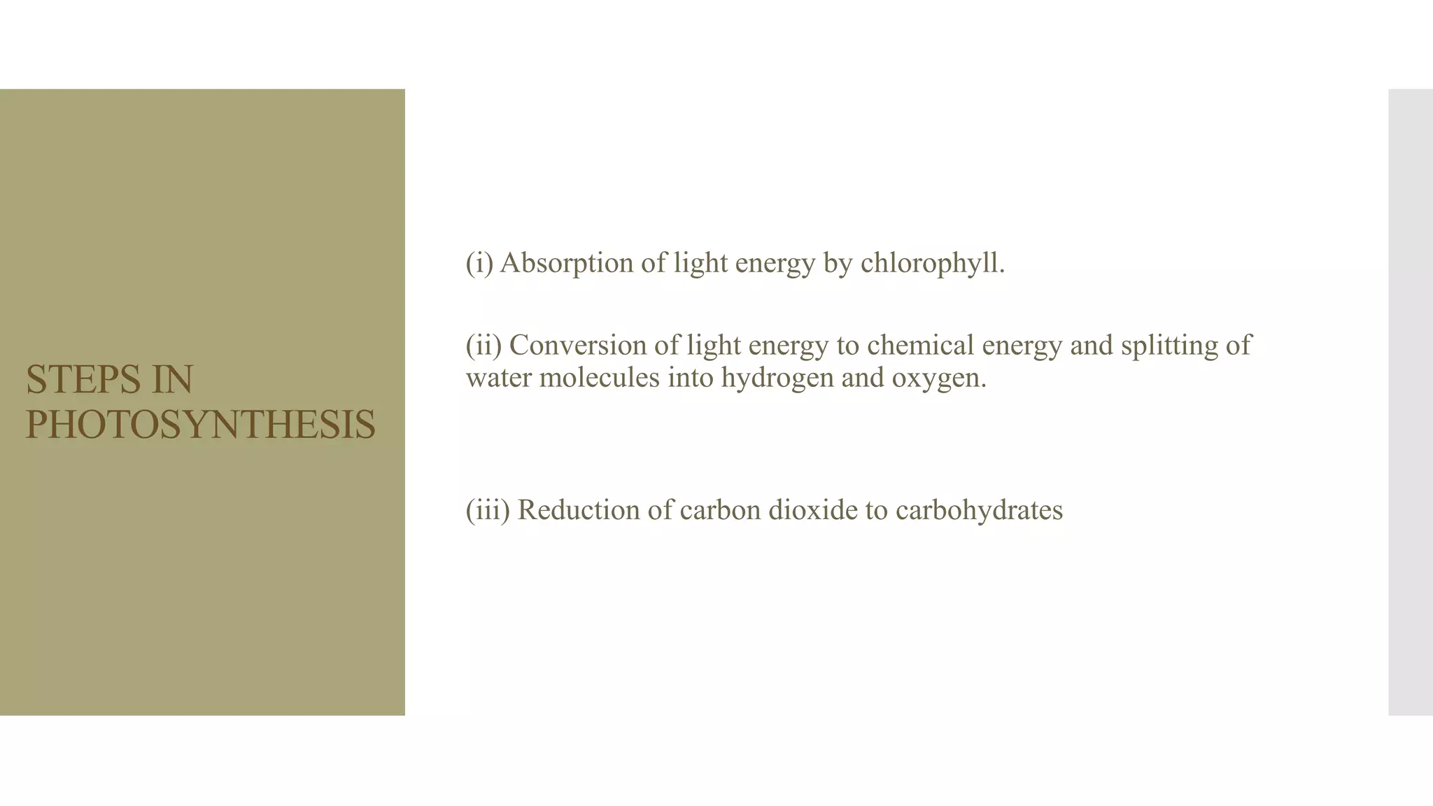 STEPS IN
PHOTOSYNTHESIS
(i) Absorption of light energy by chlorophyll.
(ii) Conversion of light energy to chemical energy and splitting of
water molecules into hydrogen and oxygen.
(iii) Reduction of carbon dioxide to carbohydrates
 
