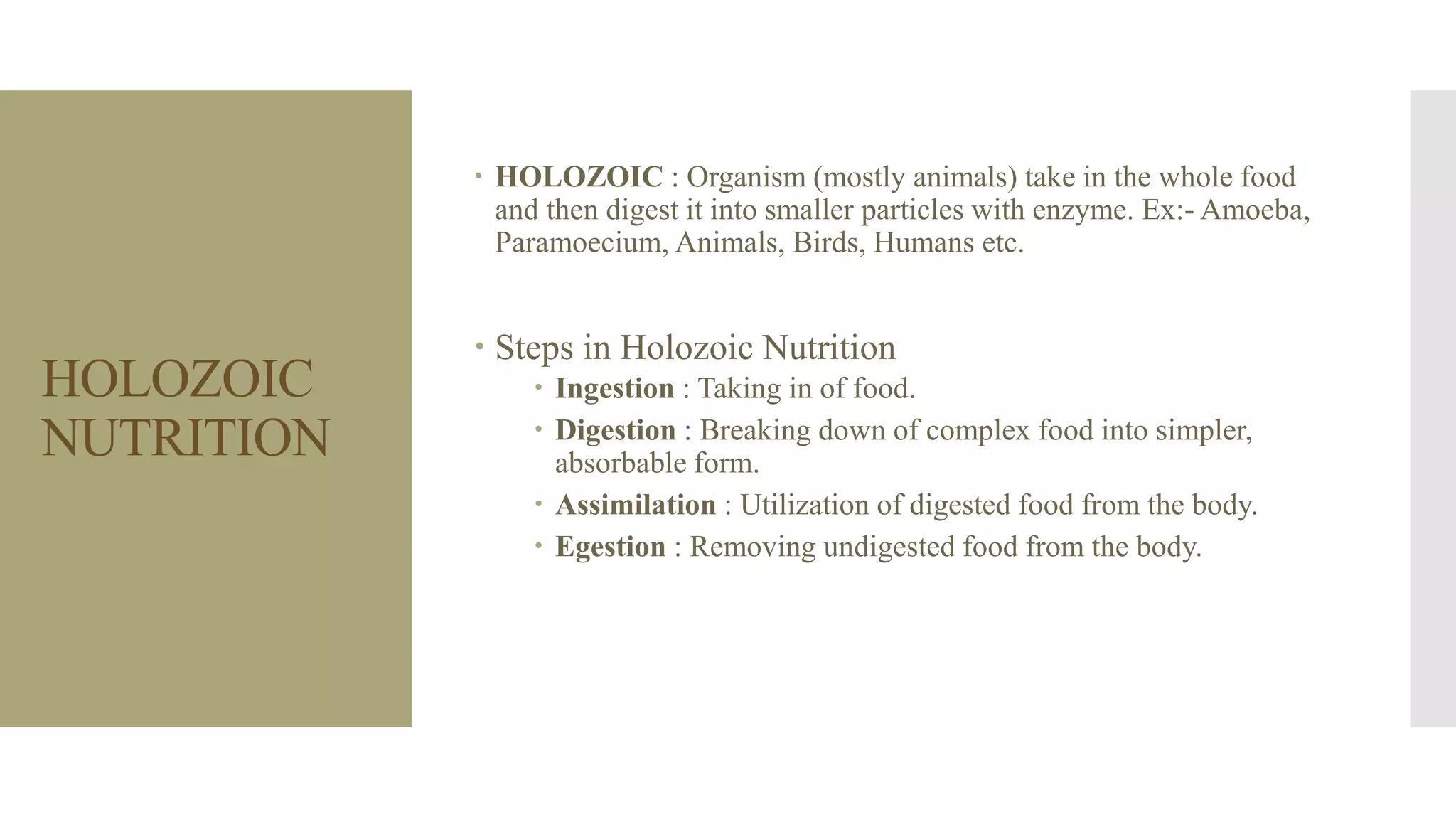 HOLOZOIC
NUTRITION
 HOLOZOIC : Organism (mostly animals) take in the whole food
and then digest it into smaller particles with enzyme. Ex:- Amoeba,
Paramoecium, Animals, Birds, Humans etc.
 Steps in Holozoic Nutrition
 Ingestion : Taking in of food.
 Digestion : Breaking down of complex food into simpler,
absorbable form.
 Assimilation : Utilization of digested food from the body.
 Egestion : Removing undigested food from the body.
 