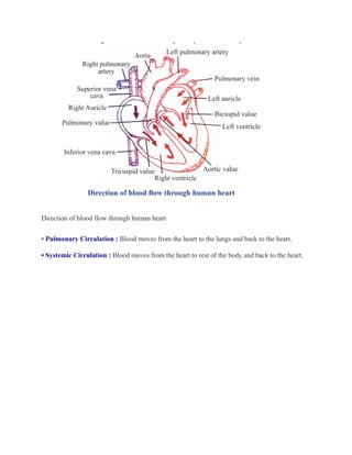 Life processes notes | PDF
