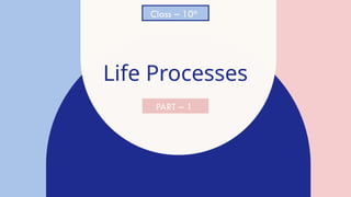 Life Processes - Nutrition IN ANIMALS AND PLANTS | PPTX