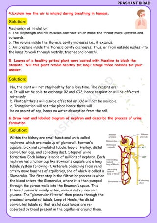 Life Processes - Short Notes (Prashant Kirad).pdf