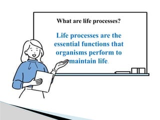 LIFE PROCESSES (05.04.2025).pptx for sslc | PPTX