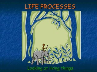 LIFE PROCESSESLIFE PROCESSES
Looking at living thingsLooking at living things
 