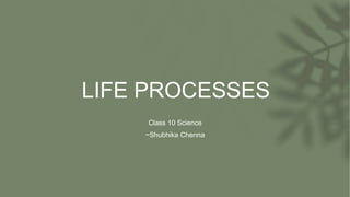 LIFE PROCESSES
Class 10 Science
~Shubhika Chenna
 