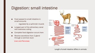 Class 10 biology ch 1 LIFE PROCESSES revision notes | PPTX