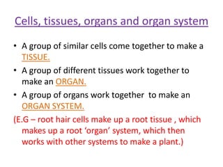 Cells, tissues, organs and organ system
• A group of similar cells come together to make a
  TISSUE.
• A group of different tissues work together to
  make an ORGAN.
• A group of organs work together to make an
  ORGAN SYSTEM.
(E.G – root hair cells make up a root tissue , which
  makes up a root ‘organ’ system, which then
  works with other systems to make a plant.)
 