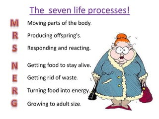The seven life processes!
Moving parts of the body.

Producing offspring's.

Responding and reacting.

Getting food to stay alive.

Getting rid of waste.

Turning food into energy.

Growing to adult size.
 