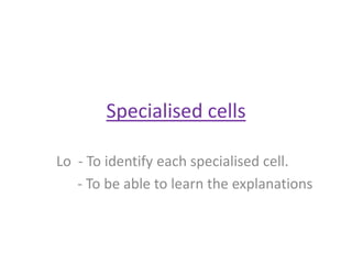 Specialised cells

Lo - To identify each specialised cell.
   - To be able to learn the explanations
 