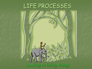 LIFE PROCESSES
Looking at living things
 
