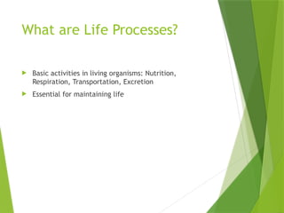 Life_Processes_Class10.pptx CBSC 10TH CLASS | PPTX