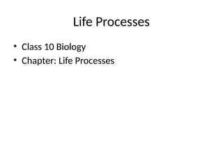 Comprehensive Overview of Life Processes in Class 10 Biology | PPTX