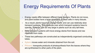 Energy Requirements Of Plants
• Energy needs differ between different body designs. Plants do not move,
and plant bodies have a large proportion of dead cells in many tissues.
• As a result, plants have low energy needs, and can use relatively slow
transport systems. The distances over which transport systems have to
operate, however, can be very large in plants such as very tall trees.
• Plant transport systems will move energy stores from leaves and raw
materials from roots.
• These two pathways are constructed as independently organised conducting
tubes.
• Xylem: moves water and minerals obtained from the soil.
• Phloem: transports products of photosynthesis from the leaves where they
are synthesised to other parts of the plant.
 