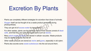 Excretion By Plants
• Plants use completely different strategies for excretion than those of animals.
• Oxygen itself can be thought of as a waste product generated during
photosynthesis.
• They can get rid of excess water by transpiration.
• For other wastes, plants use the fact that many of their tissues consist of dead
cells, and that they can even lose some parts such as leaves.
• Many plant waste products are stored in cellular vacuoles. Waste products
may be stored in leaves that fall off.
• Other waste products are stored as resins and gums, especially in old xylem.
• Plants also excrete some waste substances into the soil around them.
 