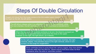 Steps Of Double Circulation
Oxygen-rich blood from the lungs comes to the thin-walled upper chamber of
the heart on the left, the left atrium.
The left atrium relaxes when it is collecting this blood. It then contracts, while
the next chamber, the left ventricle, relaxes, so that the blood is transferred to
it.
When the muscular left ventricle contracts in its turn, the blood is pumped out
to the body. De-oxygenated blood comes from the body to the upper
chamber on the right, the right atrium, as it relaxes.
As the right atrium contracts, the corresponding lower chamber, the right
ventricle, dilates. This transfers blood to the right ventricle, which in turn
pumps it to the lungs for oxygenation.
Since ventricles have to pump blood into various organs, they have thicker
muscular walls than the atria do. Valves ensure that blood does not flow
backwards when the atria or ventricles contract.
 
