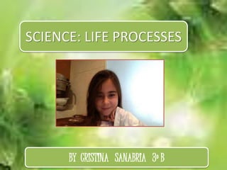 SCIENCE: LIFE PROCESSES
BY CRISTINA SANABRIA 3º B
 