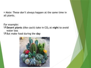 Life Processes Demo Presentation Full Pptx