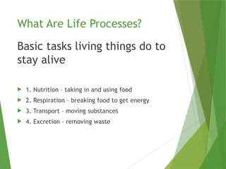 Life Processes Demo Presentation Full Pptx