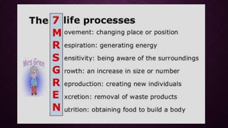 Life processes and homeostatic mechanism | PPTX