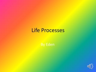 Life Processes

   By Eden
 