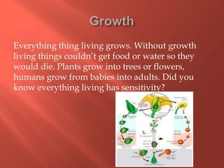Everything thing living grows. Without growth
living things couldn’t get food or water so they
would die. Plants grow into trees or flowers,
humans grow from babies into adults. Did you
know everything living has sensitivity?
 
