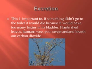    This is important to, if something didn’t go to
    the toilet it would die because it would have
    too many toxins in its bladder. Plants shed
    leaves, humans wee, poo, sweat andand breath
    out carbon dioxide.
 