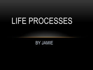 LIFE PROCESSES

     BY JAMIE
 
