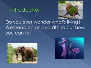 Do you ever wonder what's living?
Well read on and you'll find out how
you can tell.
 