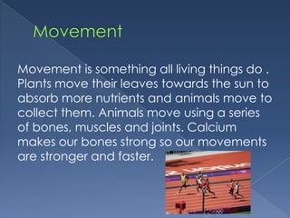 Movement is something all living things do .
Plants move their leaves towards the sun to
absorb more nutrients and animals move to
collect them. Animals move using a series
of bones, muscles and joints. Calcium
makes our bones strong so our movements
are stronger and faster.
 