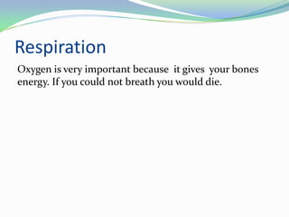 Respiration
Oxygen is very important because it gives your bones
energy. If you could not breath you would die.
 