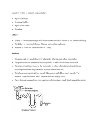 Life processes notes | PDF