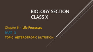 BIOLOGY SECTION
CLASS X
Chapter 6 - Life Processes
PART -3
TOPIC: HETEROTROPIC NUTRITION
 