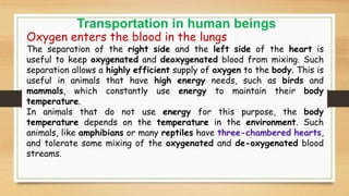 LIFE PROCESSES PART- 5.pptx