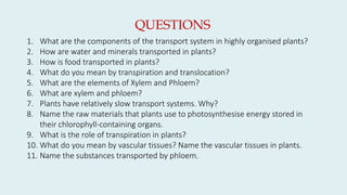 1. What are the components of the transport system in highly organised plants?
2. How are water and minerals transported in plants?
3. How is food transported in plants?
4. What do you mean by transpiration and translocation?
5. What are the elements of Xylem and Phloem?
6. What are xylem and phloem?
7. Plants have relatively slow transport systems. Why?
8. Name the raw materials that plants use to photosynthesise energy stored in
their chlorophyll-containing organs.
9. What is the role of transpiration in plants?
10. What do you mean by vascular tissues? Name the vascular tissues in plants.
11. Name the substances transported by phloem.
QUESTIONS
 