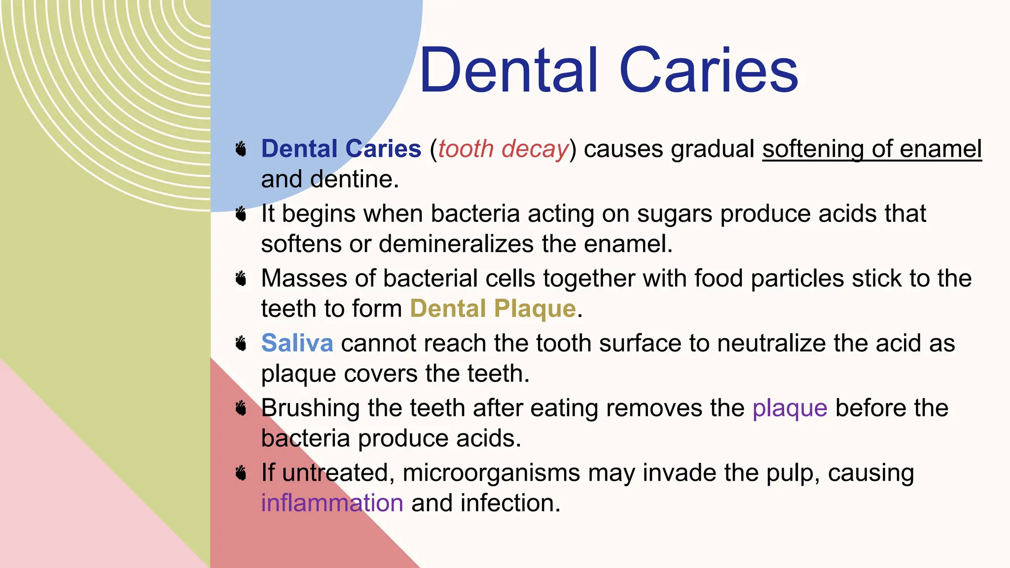 Dental Caries
Dental Caries (tooth decay) causes gradual softening of enamel
and dentine.
It begins when bacteria acting on sugars produce acids that
softens or demineralizes the enamel.
Masses of bacterial cells together with food particles stick to the
teeth to form Dental Plaque.
Saliva cannot reach the tooth surface to neutralize the acid as
plaque covers the teeth.
Brushing the teeth after eating removes the plaque before the
bacteria produce acids.
If untreated, microorganisms may invade the pulp, causing
inflammation and infection.
 