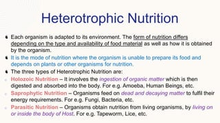 Heterotrophic Nutrition
Each organism is adapted to its environment. The form of nutrition differs
depending on the type and availability of food material as well as how it is obtained
by the organism.
It is the mode of nutrition where the organism is unable to prepare its food and
depends on plants or other organisms for nutrition.
The three types of Heterotrophic Nutrition are:
o Holozoic Nutrition – It involves the ingestion of organic matter which is then
digested and absorbed into the body. For e.g. Amoeba, Human Beings, etc.
o Saprophytic Nutrition – Organisms feed on dead and decaying matter to fulfil their
energy requirements. For e.g. Fungi, Bacteria, etc.
o Parasitic Nutrition – Organisms obtain nutrition from living organisms, by living on
or inside the body of Host. For e.g. Tapeworm, Lice, etc.
 
