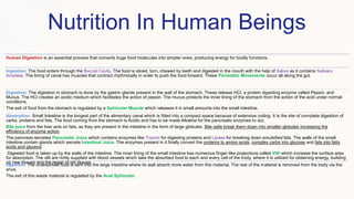 Nutrition In Human Beings
Human Digestion is an essential process that converts huge food molecules into simpler ones, producing energy for bodily functions.
Ingestion: The food enters through the Buccal Cavity. The food is sliced, torn, chewed by teeth and digested in the mouth with the help of Saliva as it contains Salivary
Amylase. The lining of canal has muscles that contract rhythmically in order to push the food forward. These Peristaltic Movements occur all along the gut.
Digestion: The digestion in stomach is done by the gastric glands present in the wall of the stomach. These release HCl, a protein digesting enzyme called Pepsin, and
Mucus. The HCl creates an acidic medium which facilitates the action of pepsin. The mucus protects the inner lining of the stomach from the action of the acid under normal
conditions.
The exit of food from the stomach is regulated by a Sphincter Muscle which releases it in small amounts into the small intestine.
Absorption: Small Intestine is the longest part of the alimentary canal which is fitted into a compact space because of extensive coiling. It is the site of complete digestion of
carbs, proteins and fats. The food coming from the stomach is Acidic and has to be made Alkaline for the pancreatic enzymes to act.
Bile juice from the liver acts on fats, as they are present in the intestine in the form of large globules. Bile salts break them down into smaller globules increasing the
efficiency of enzyme action.
The pancreas secretes Pancreatic Juice which contains enzymes like Trypsin for digesting proteins and Lipase for breaking down emulsified fats. The walls of the small
intestine contain glands which secrete Intestinal Juice. The enzymes present in it finally convert the proteins to amino acids, complex carbs into glucose and fats into fatty
acids and glycerol.
Digested food is taken up by the walls of the intestine. The inner lining of the small intestine has numerous finger-like projections called Villi which increase the surface area
for absorption. The villi are richly supplied with blood vessels which take the absorbed food to each and every cell of the body, where it is utilized for obtaining energy, building
up new tissues and the repair of old tissues.
Egestion: The unabsorbed food is sent into the large intestine where its wall absorb more water from this material. The rest of the material is removed from the body via the
anus.
The exit of this waste material is regulated by the Anal Sphincter.
 