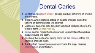 Dental Caries
Dental Caries (tooth decay) causes gradual softening of enamel
and dentine.
It begins when bacteria acting on sugars produce acids that
softens or demineralizes the enamel.
Masses of bacterial cells together with food particles stick to the
teeth to form Dental Plaque.
Saliva cannot reach the tooth surface to neutralize the acid as
plaque covers the teeth.
Brushing the teeth after eating removes the plaque before the
bacteria produce acids.
If untreated, microorganisms may invade the pulp, causing
inflammation and infection.
 