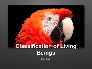 Classification of Living
Beings
Félix Bello
 