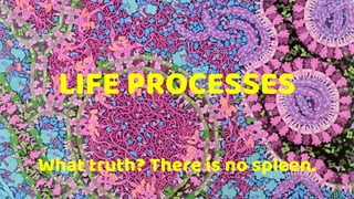 LIFE PROCESSES
What truth? There is no spleen.
 