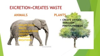 Life Processes Unit 1.pptx