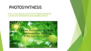 Life Processes Unit 1.pptx science chapter 5 | PPTX