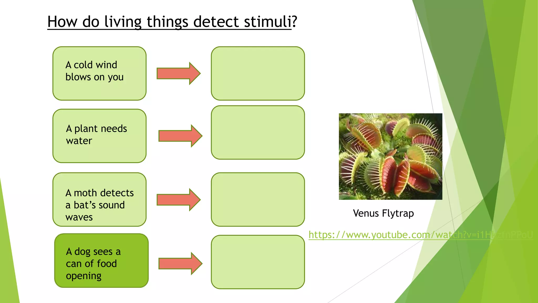 Life Processes Unit 1 (1).pptx