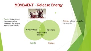 Life Processes Unit 1 (1).pptx