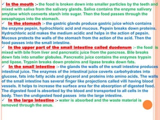  In the mouth :- the food is broken down into smaller particles by the teeth and
mixed with saliva from the salivary glands. Saliva contains the enzyme salivary
amylase which converts starch into sugar. Then the food passes through the
oesophagus into the stomach.
 In the stomach :- the gastric glands produce gastric juice which contains
the enzyme pepsin, hydrochloric acid and mucous. Pepsin breaks down proteins.
Hydrochloric acid makes the medium acidic and helps in the action of pepsin.
Mucous protects the walls of the stomach from the action of the acid. Then the
food passes into the small intestine.
 In the upper part of the small intestine called duodenum :- the food is
mixed with bile from liver and pancreatic juice from the pancreas. Bile breaks
down fats into smaller globules. Pancreatic juice contains the enzymes trypsin
and lipase. Trypsin breaks down proteins and lipase breaks down fats.
 In the small intestine :- the glands the walls of the small intestine produces
intestinal juice. The enzymes of the intestinal juice coverts carbohydrates into
glucose, fats into fatty acids and glycerol and proteins into amino acids. The walls
of the small intestine has several finger like projections called villi having blood
vessels. It helps to increase the surface area for the absorption of digested food.
The digested food is absorbed by the blood and transported to all cells in the
body. Then the undigested food passes into the large intestine.
 In the large intestine :- water is absorbed and the waste material is
removed through the anus.
 