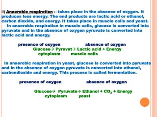 ii) Anaerobic respiration :- takes place in the absence of oxygen. It
produces less energy. The end products are lactic acid or ethanol,
carbon dioxide, and energy. It takes place in muscle cells and yeast.
In anaerobic respiration in muscle cells, glucose is converted into
pyruvate and in the absence of oxygen pyruvate is converted into
lactic acid and energy.
presence of oxygen absence of oxygen
Glucose Pyruvat Lactic acid + Energy
cytoplasm muscle cells
In anaerobic respiration in yeast, glucose is converted into pyruvate
and in the absence of oxygen pyruvate is converted into ethanol,
carbondioxide and energy. This process is called fermentation.
presence of oxygen absence of oxygen
Glucose Pyruvate Ethanol + CO2 + Energy
cytoplasm yeast
 