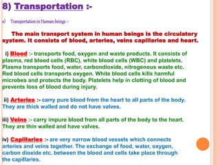 8) Transportation :-
a) Transportation in Humanbeings :-
The main transport system in human beings is the circulatory
system. It consists of blood, arteries, veins capillaries and heart.
i) Blood :- transports food, oxygen and waste products. It consists of
plasma, red blood cells (RBC), white blood cells (WBC) and platelets.
Plasma transports food, water, carbondioxide, nitrogenous waste etc.
Red blood cells transports oxygen. White blood cells kills harmful
microbes and protects the body. Platelets help in clotting of blood and
prevents loss of blood during injury.
ii) Arteries :- carry pure blood from the heart to all parts of the body.
They are thick walled and do not have valves.
iii) Veins :- carry impure blood from all parts of the body to the heart.
They are thin walled and have valves.
iv) Capillaries :- are very narrow blood vessels which connects
arteries and veins together. The exchange of food, water, oxygen,
carbon dioxide etc. between the blood and cells take place through
the capillaries.
 